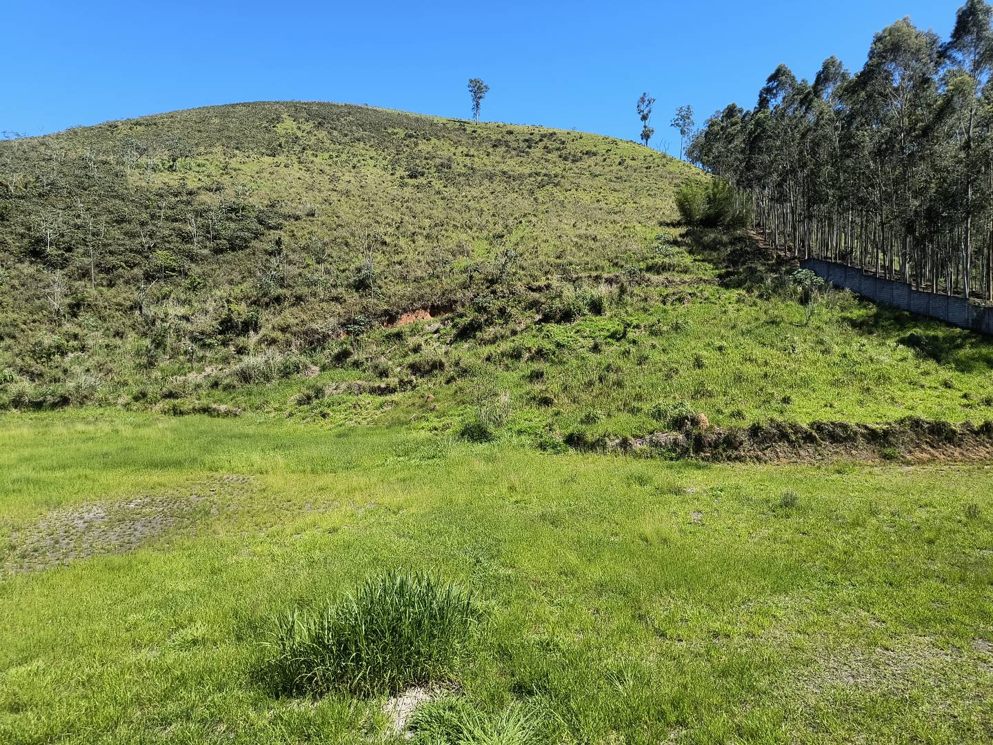Terreno, 7000 m² - Foto 6