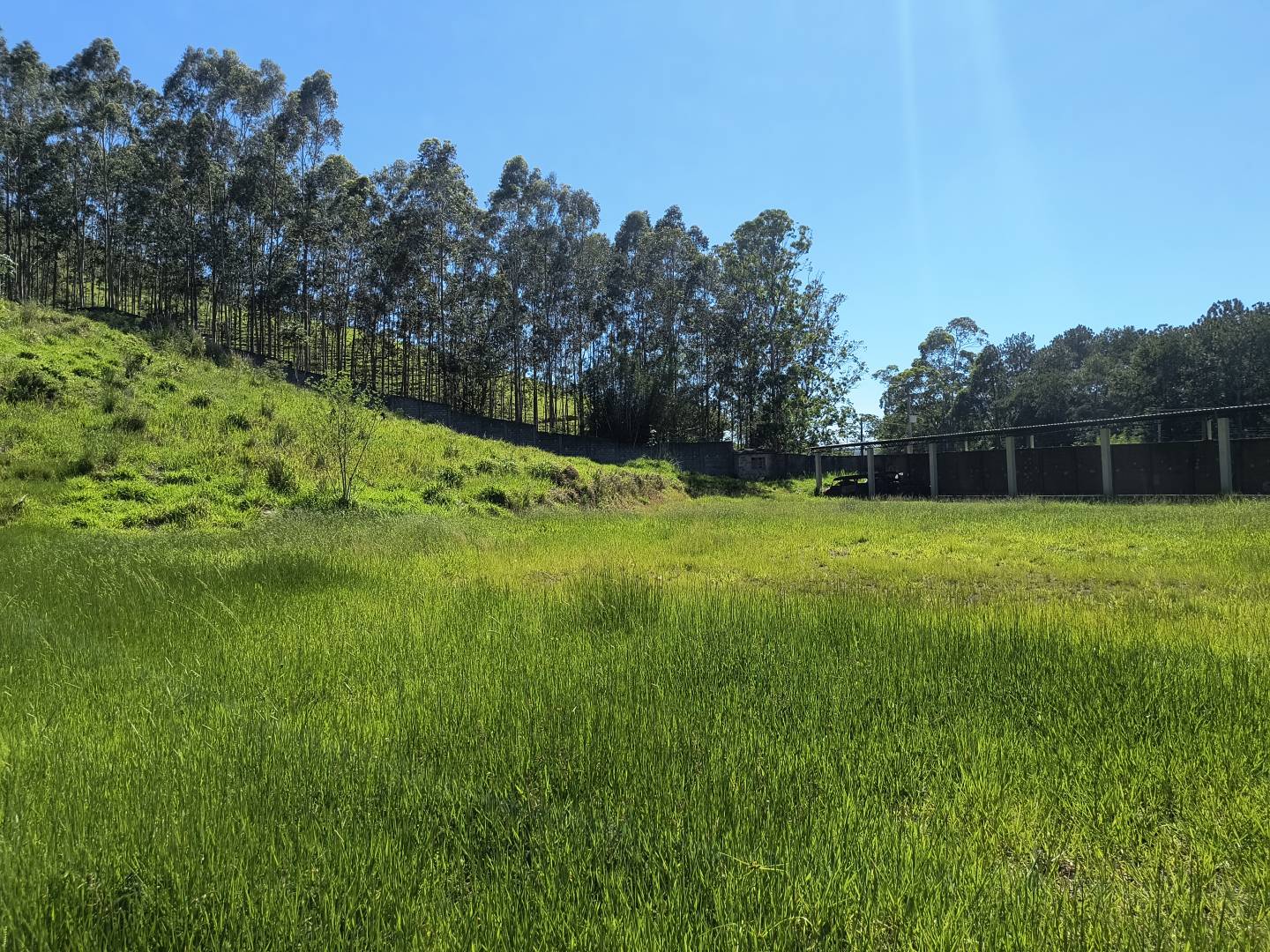 Terreno, 7000 m² - Foto 16