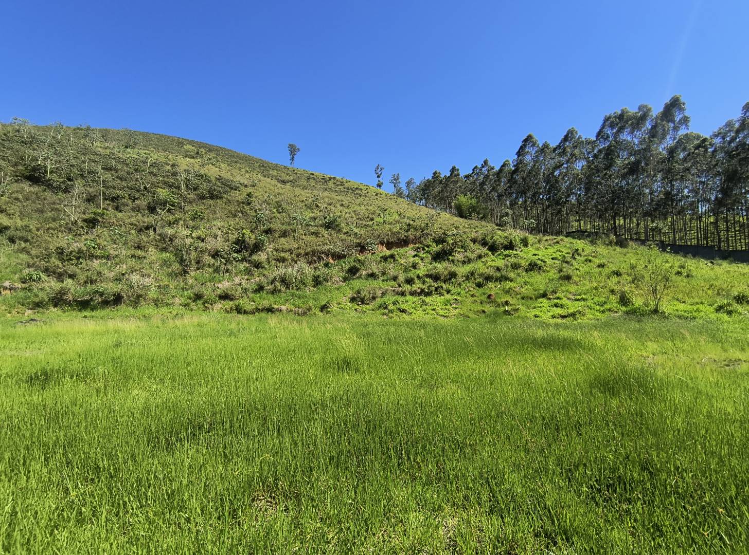 Terreno, 7000 m² - Foto 17