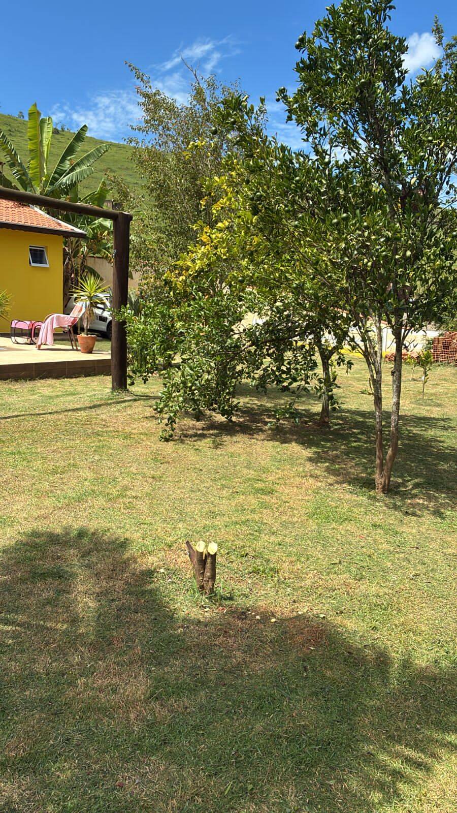 Chácara, 2 quartos, 1000 m² - Foto 31