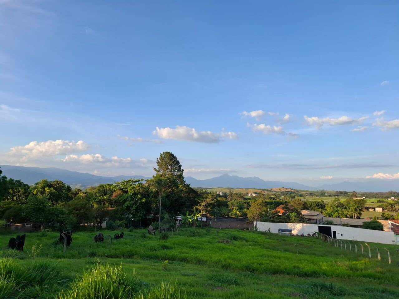 Terreno, 1170 m² - Foto 8