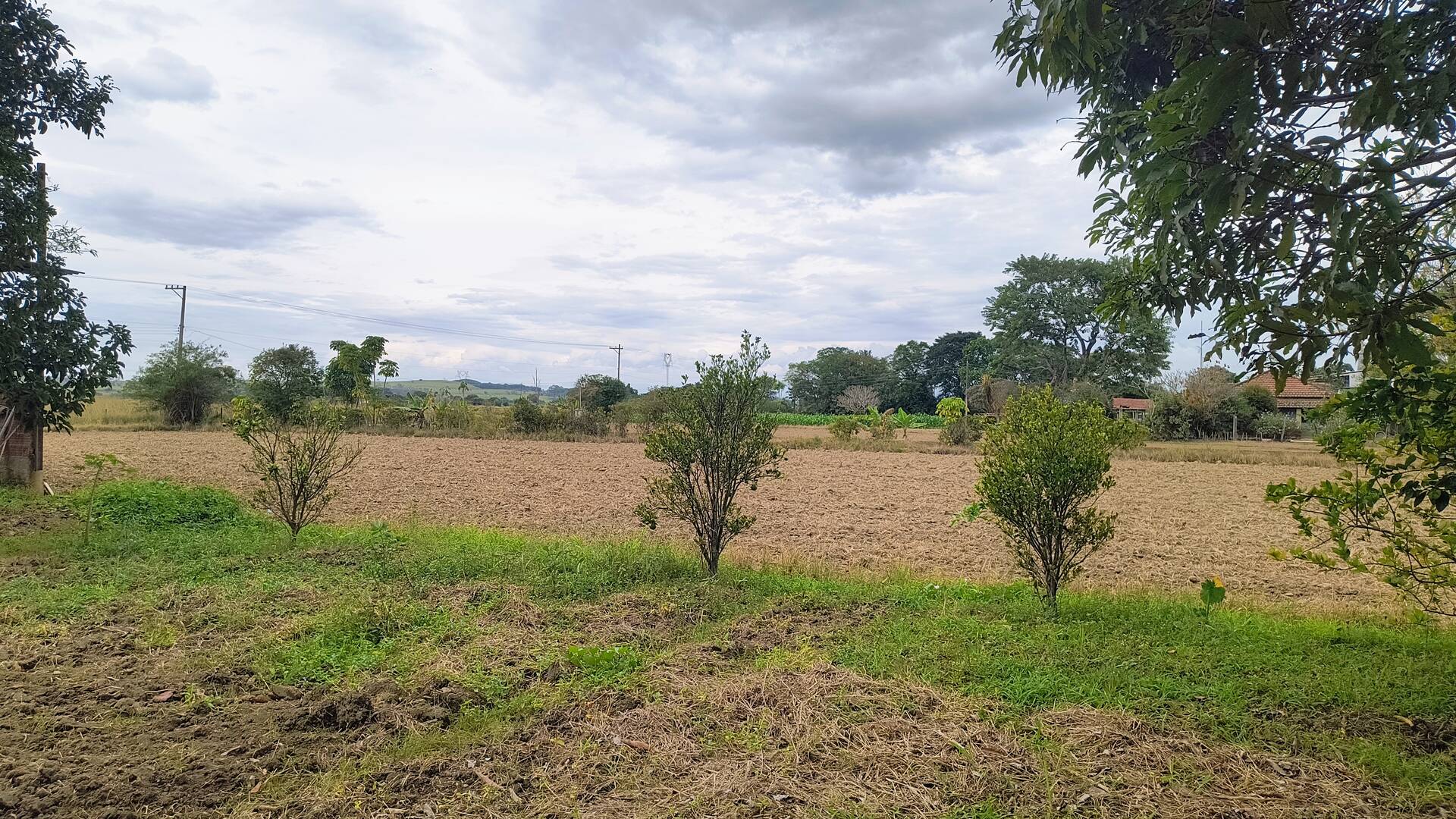 Sítio, 2 quartos, 3 hectares - Foto 6