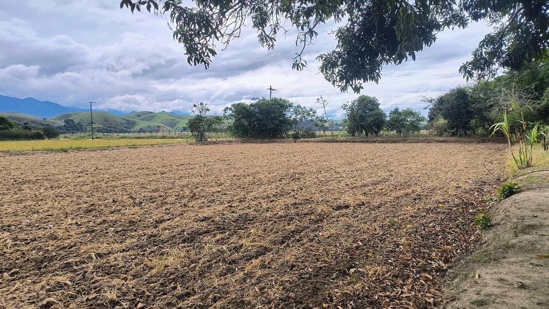 Sítio, 2 quartos, 3 hectares - Foto 10