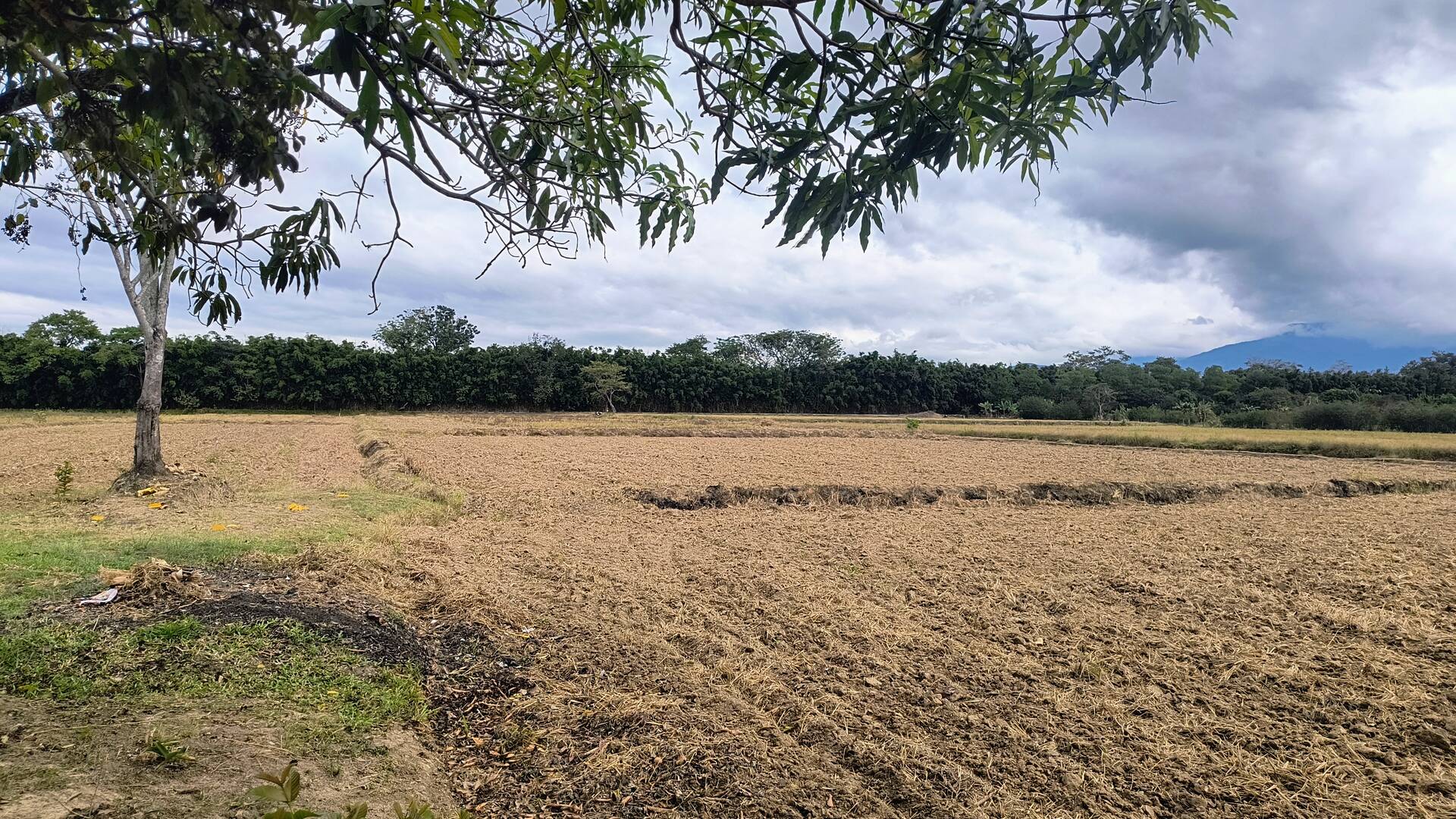 Sítio, 2 quartos, 3 hectares - Foto 11