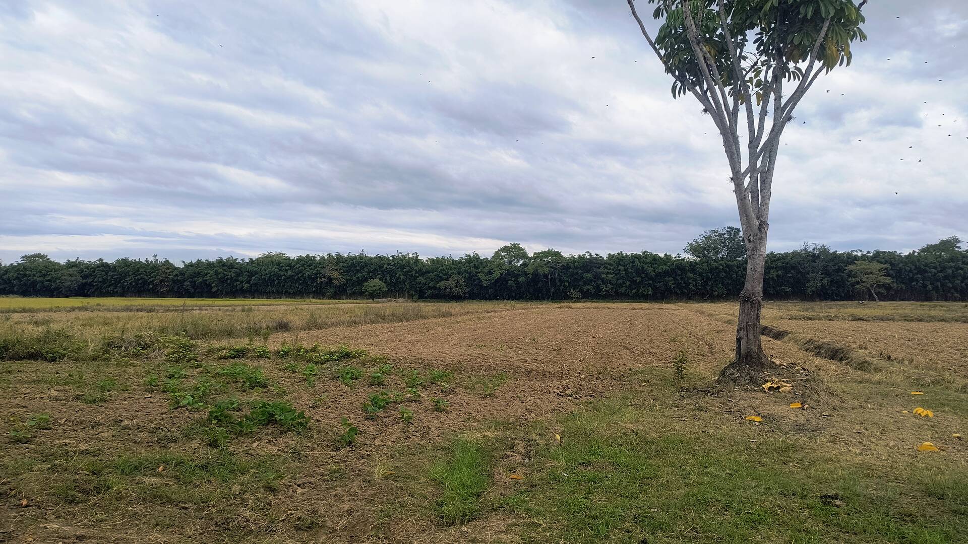 Sítio, 2 quartos, 3 hectares - Foto 15