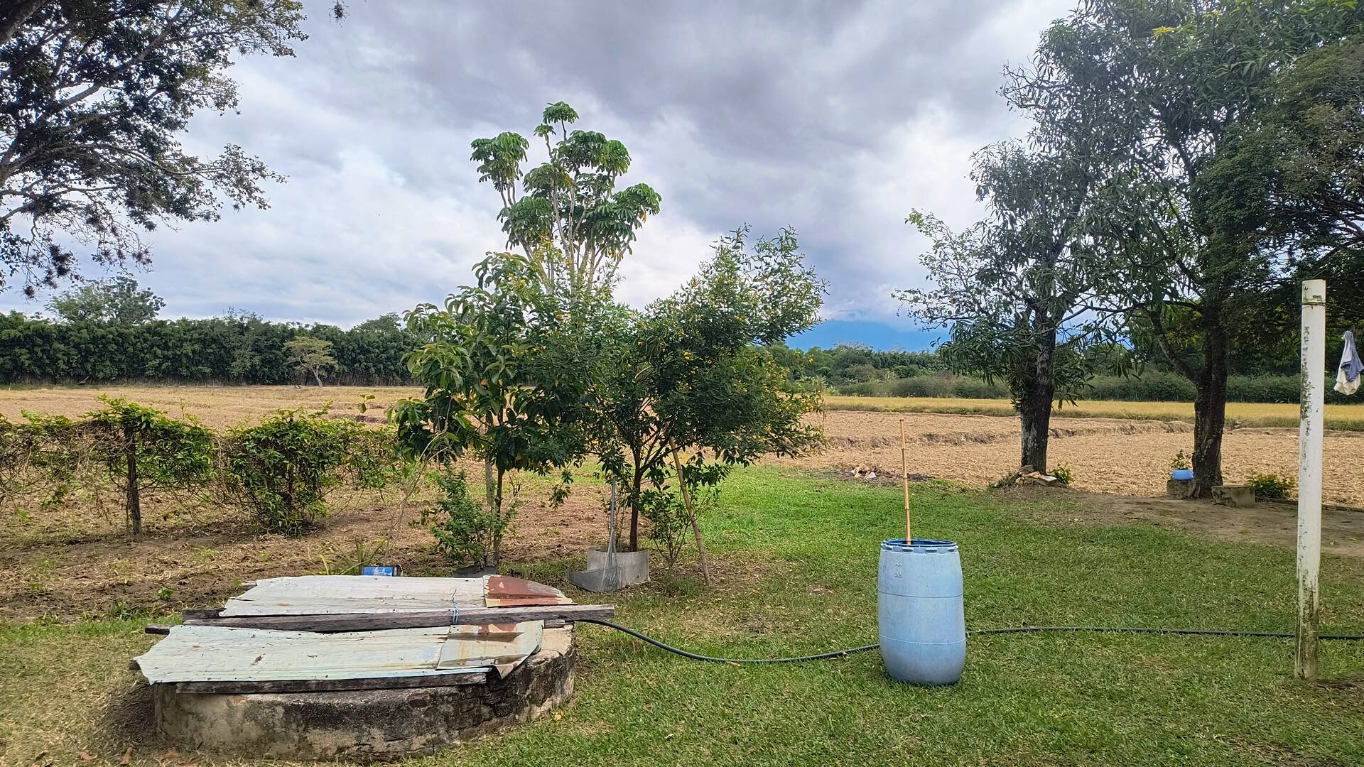 Sítio, 2 quartos, 3 hectares - Foto 16
