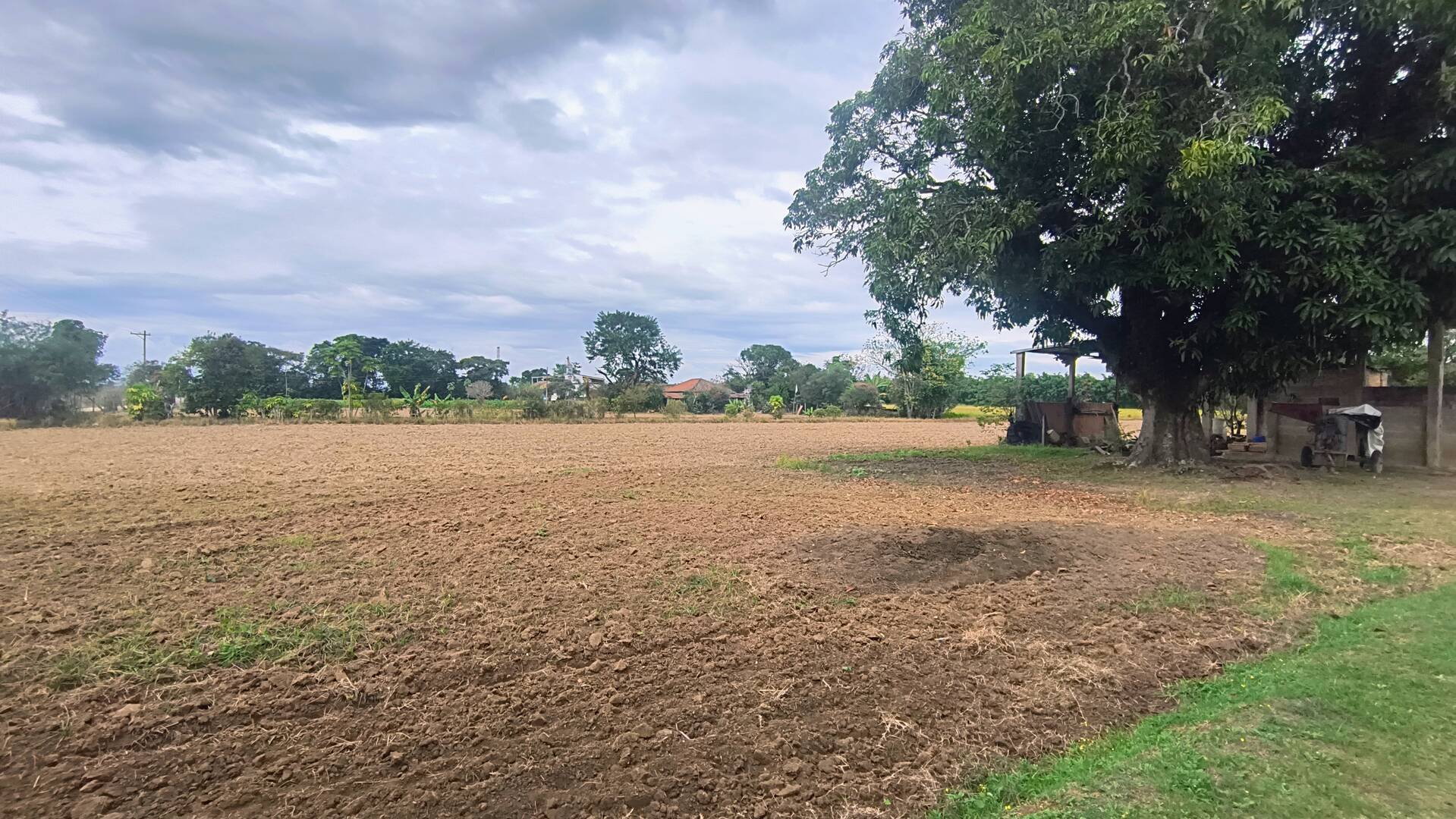 Sítio, 2 quartos, 3 hectares - Foto 18
