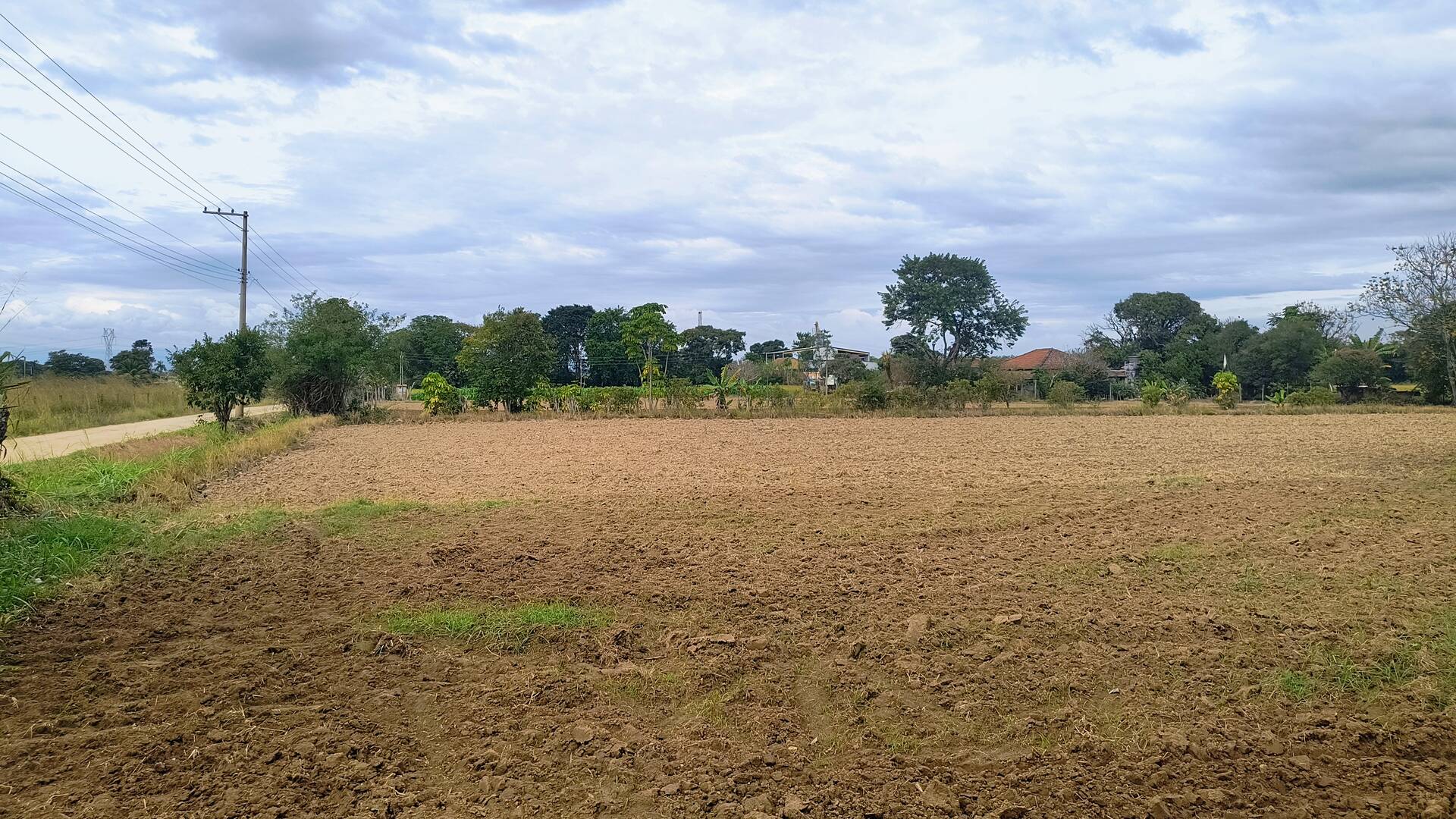 Sítio, 2 quartos, 3 hectares - Foto 21