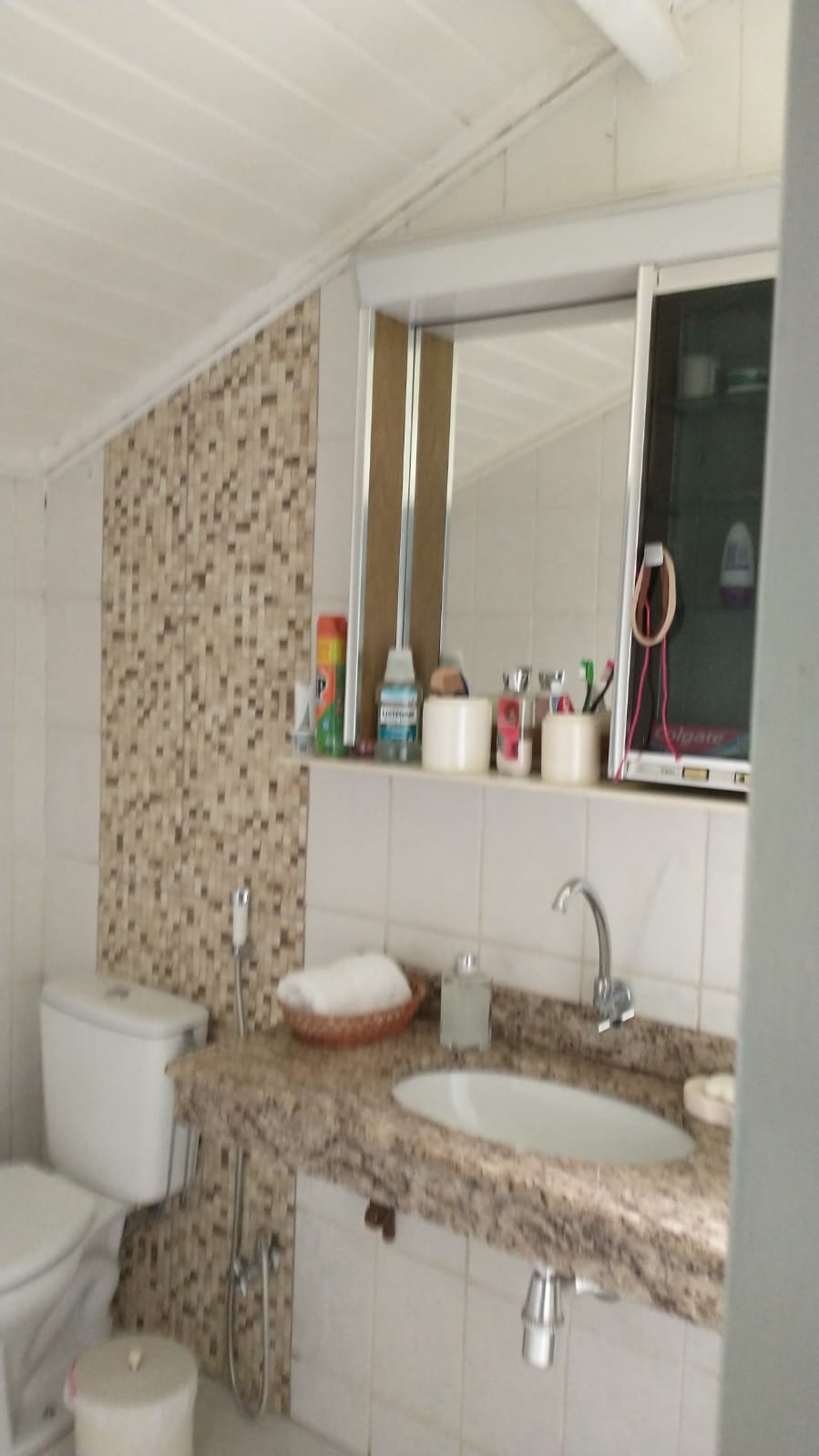 Sítio, 4 quartos, 3 m² - Foto 8