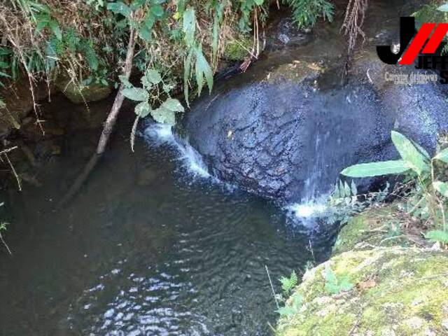 #14 - Sítio para Venda em Pindamonhangaba - SP - 1