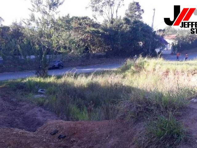 Terreno para Venda em Guaratinguetá - 4