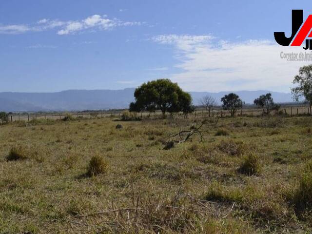 #545 - Terreno para Venda em Roseira - SP - 1