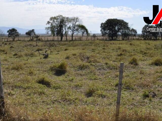 #545 - Terreno para Venda em Roseira - SP - 3