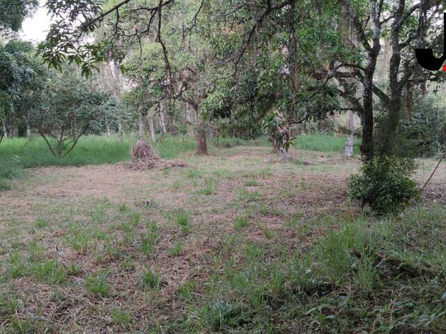 Venda em Jardim São Manoel - Guaratinguetá