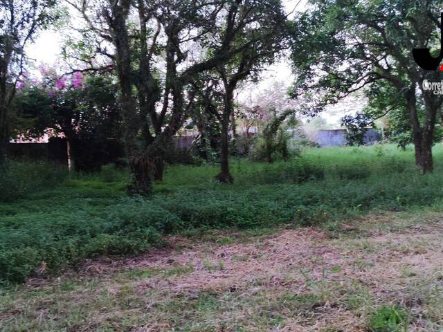#19 - Terreno para Venda em Guaratinguetá - SP - 2