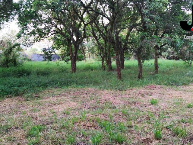 #19 - Terreno para Venda em Guaratinguetá - SP - 3