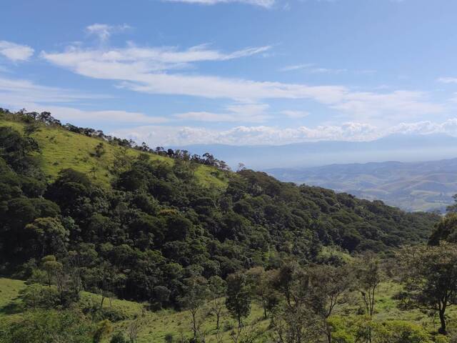 #381 - Sítio para Venda em Guaratinguetá - SP - 3