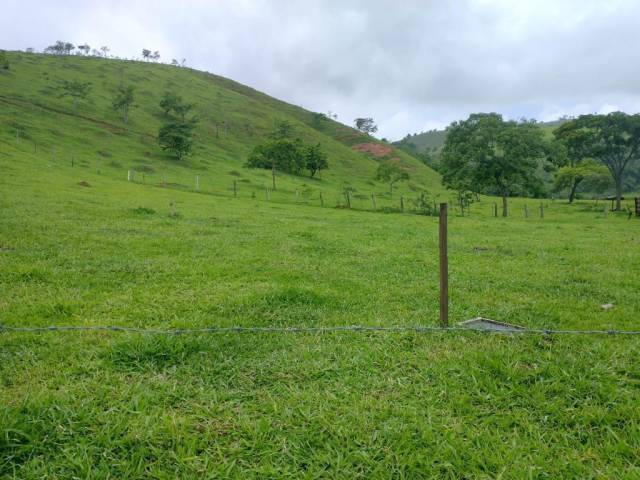 #640 - Terreno para Venda em Roseira - SP - 1