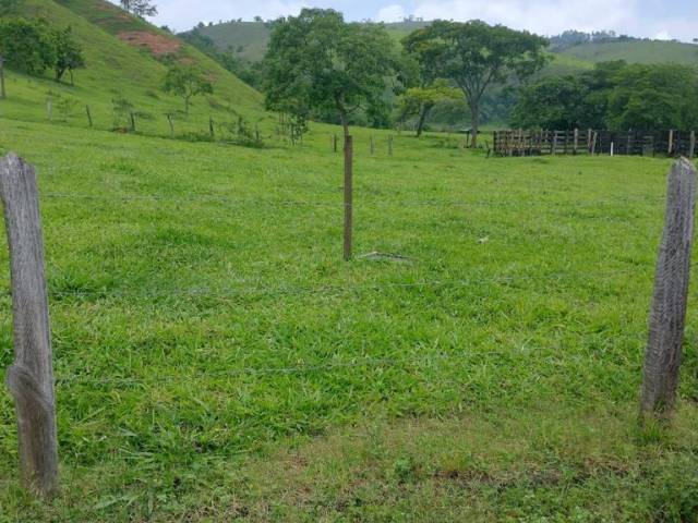 #640 - Terreno para Venda em Roseira - SP - 3