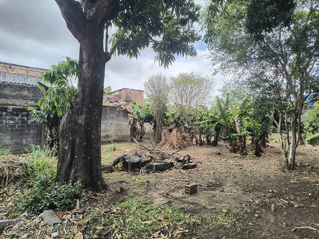 #655 - Terreno para Venda em Aparecida - SP - 3