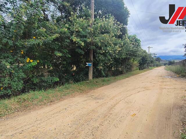 #696 - Chácara para Venda em Guaratinguetá - SP - 3